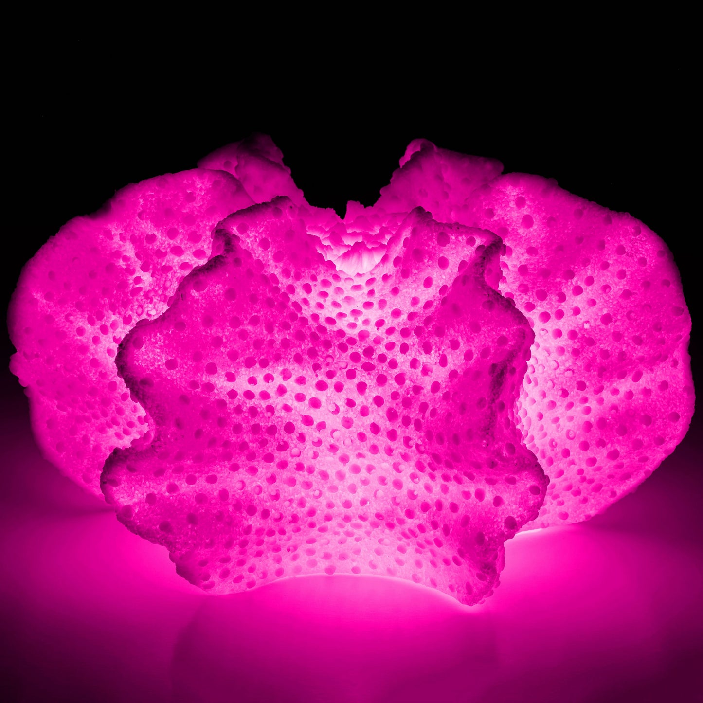 L587 BROWN TABLE LAMPS