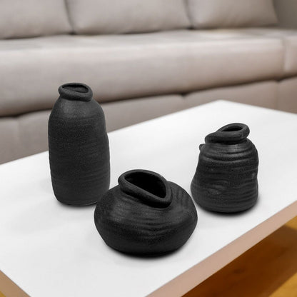 CESE330 BLACK VASES