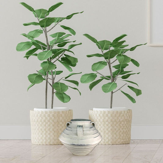 CEJA320 WHITE WASH CERAMIC HOME DECOR DEALS