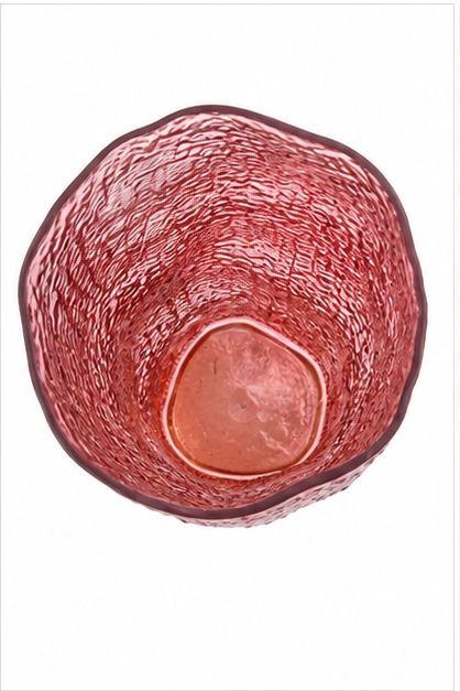 GV611 RED GLASS VASES