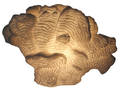 L584 BROWN TABLE LAMPS