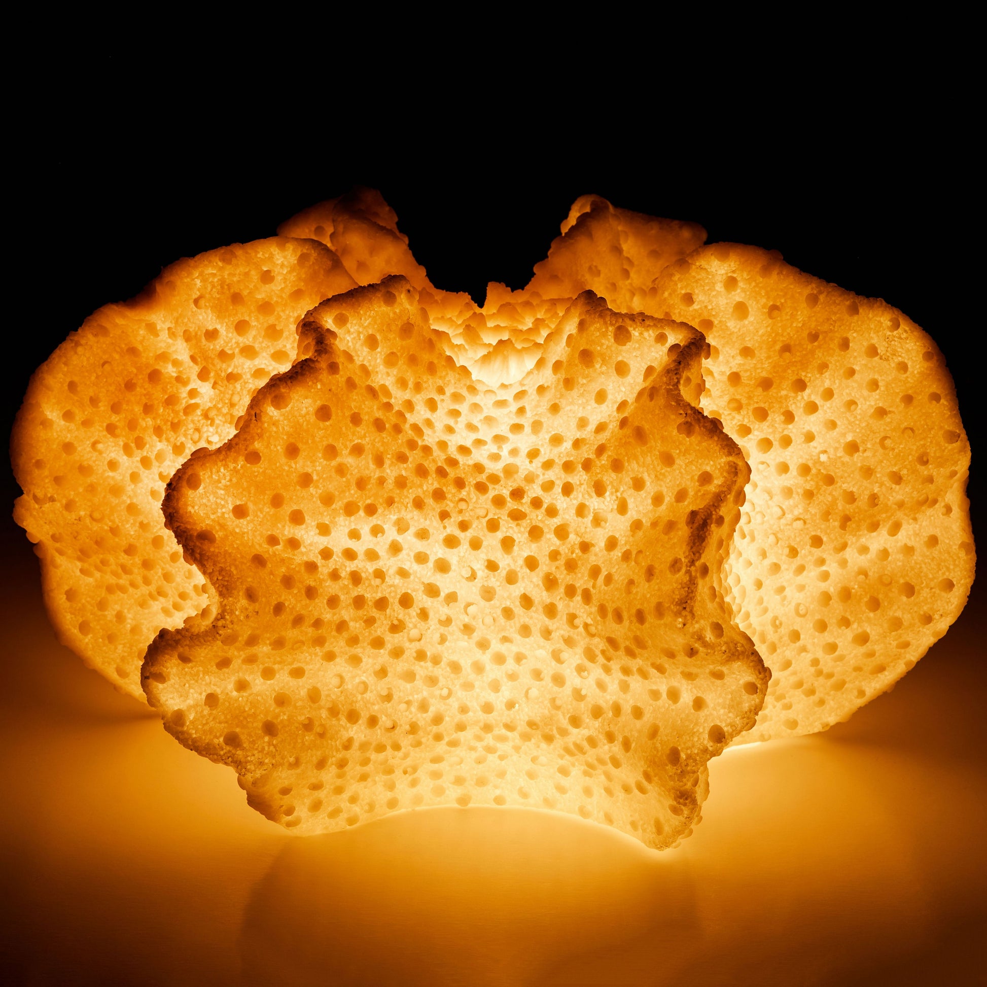L587 BROWN TABLE LAMPS