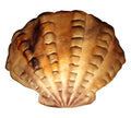 Scallop Shell Table Lamp - Sculpted Sandstone | LED & RGB Compatible | A15 Bulb | 14" X 11" X 8"